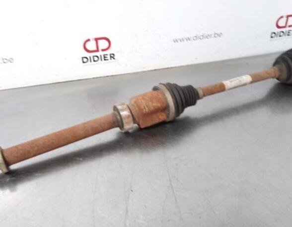 Drive Shaft RENAULT KANGOO Express (FW0/1_)