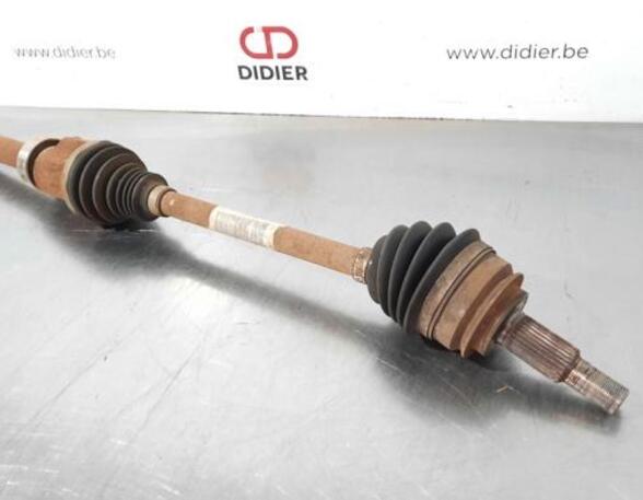 Drive Shaft RENAULT KANGOO Express (FW0/1_)