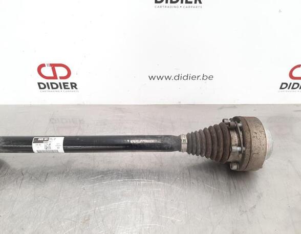 Drive Shaft AUDI A4 Allroad B9 (8WH, 8WJ)