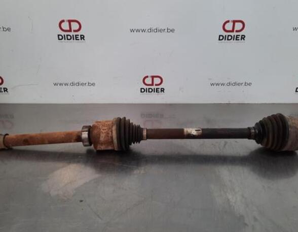 Drive Shaft RENAULT MASTER III Van (FV)