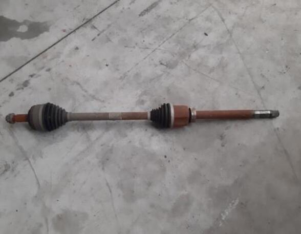 Drive Shaft RENAULT MASTER III Van (FV)