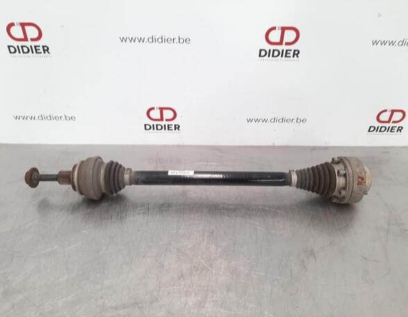 Drive Shaft AUDI A4 Allroad B9 (8WH, 8WJ)