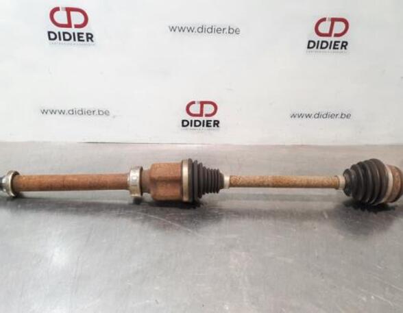 Drive Shaft RENAULT KANGOO Express (FW0/1_)