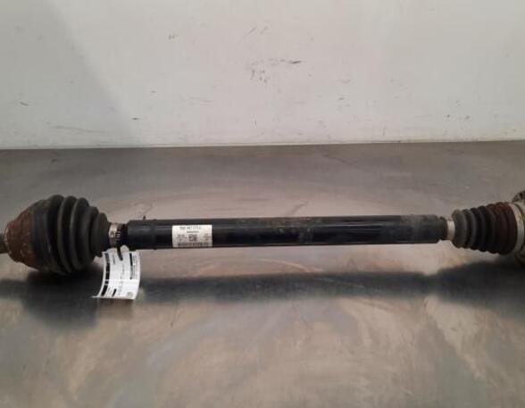 Drive Shaft VW TIGUAN (AD1, AX1), VW TIGUAN ALLSPACE (BW2)