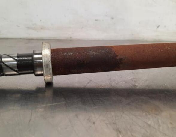 Drive Shaft RENAULT KANGOO Express (FW0/1_)