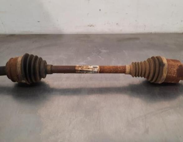 Drive Shaft RENAULT KANGOO Express (FW0/1_)