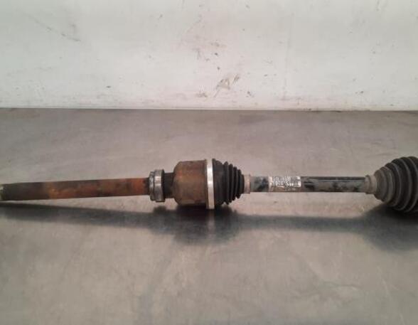 Drive Shaft CITROËN JUMPY III Van (V_), PEUGEOT EXPERT Van (V_), OPEL VIVARO C Van (K0)