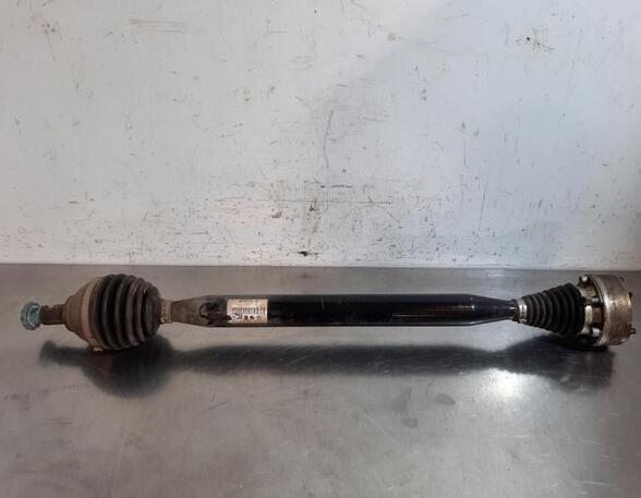 Drive Shaft SKODA SCALA (NW1), VW POLO (AW1, BZ1)