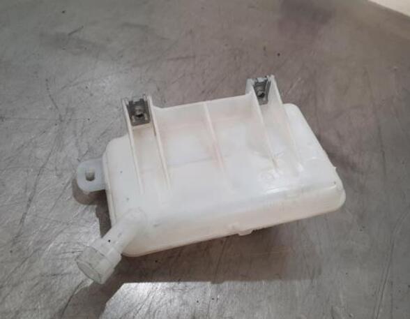 Brake Fluid Expansion Tank RENAULT TRAFIC III Van (FG_), OPEL VIVARO B Bus (X82)