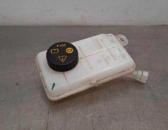 Brake Fluid Expansion Tank RENAULT TRAFIC III Van (FG_), OPEL VIVARO B Bus (X82)