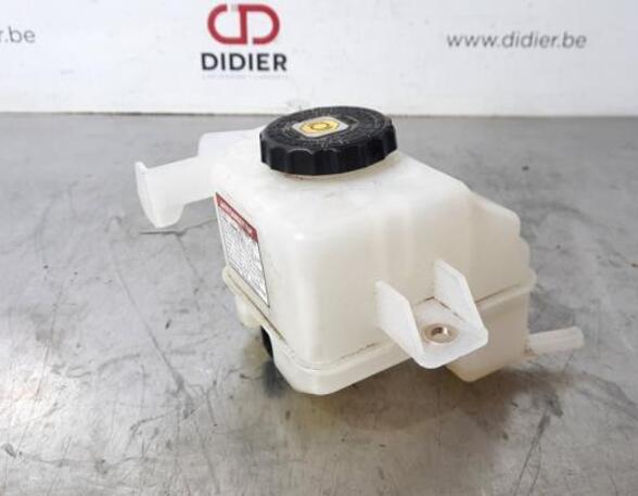 Brake Fluid Expansion Tank TOYOTA RAV 4 V (_A5_, _H5_)