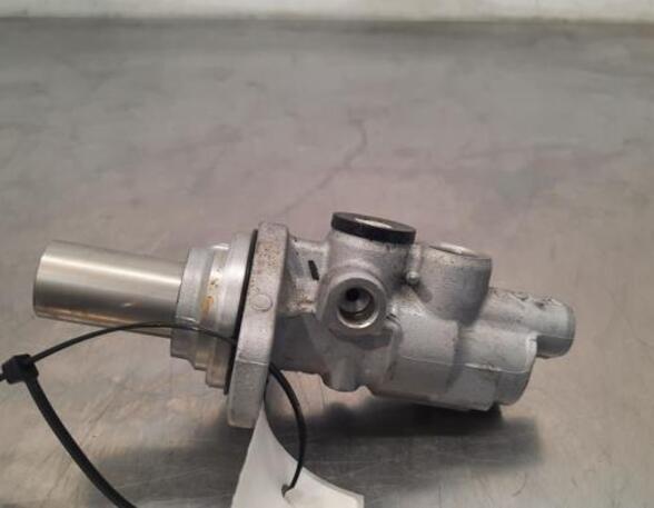 Brake Master Cylinder CUPRA BORN (K11)