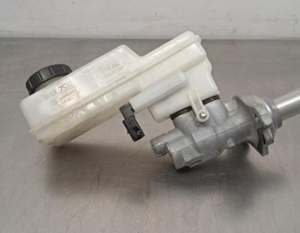 Brake Master Cylinder CUPRA BORN (K11)