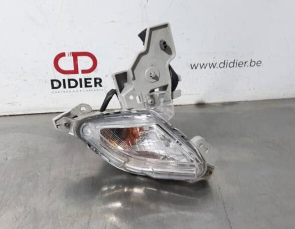 Direction Indicator Lamp MAZDA CX-3 (DK)