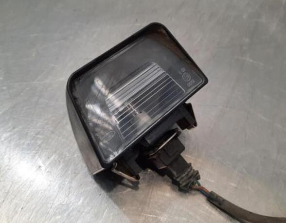 Licence Plate Light FORD TRANSIT Platform/Chassis (FM_ _, FN_ _, FF_ _), FORD TRANSIT V363 Platform/Chassis (FED, FFD)