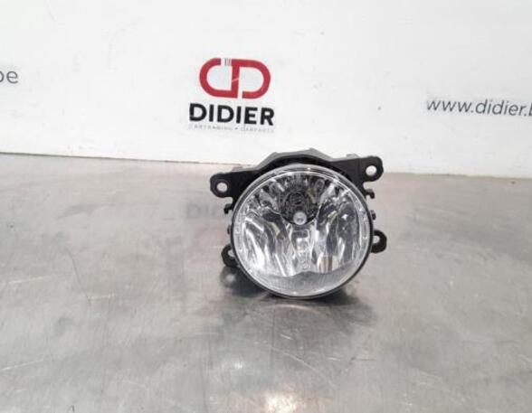 Fog Light RENAULT KANGOO Express (FW0/1_), RENAULT KANGOO / GRAND KANGOO (KW0/1_)