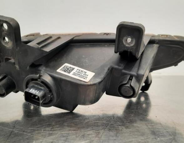 Nebelscheinwerfer rechts vorne Hyundai i30 III PD, PDE, PDEN 92208S0010 P20591451