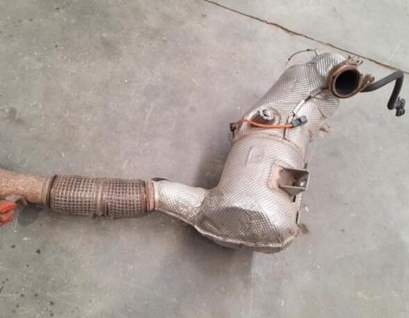 Diesel Particulate Filter (DPF) FORD TRANSIT V363 Platform/Chassis (FED, FFD)