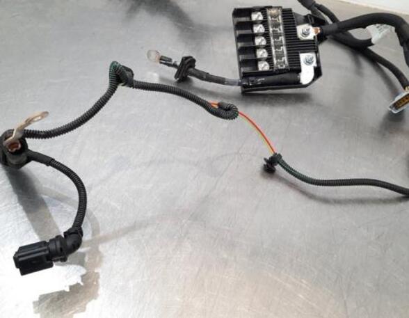 Wiring Harness PEUGEOT 3008 SUV (MC_, MR_, MJ_, M4_)