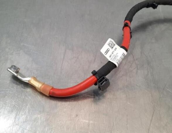 Wiring Harness AUDI A7 Sportback (4KA)