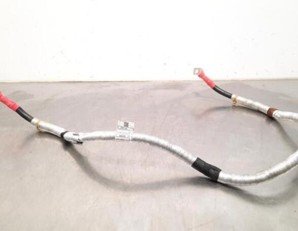 Wiring Harness BMW 5 Touring (G31), BMW 5 Touring (F11), BMW 5 Touring Van (G31)