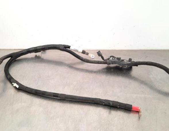 Wiring Harness FORD TRANSIT Van (FA_ _), FORD TRANSIT V363 Van (FCD, FDD), FORD TRANSIT V363 Bus (FAD, FBD)