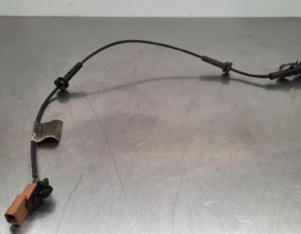 Wiring Harness RENAULT MASTER III Van (FV)