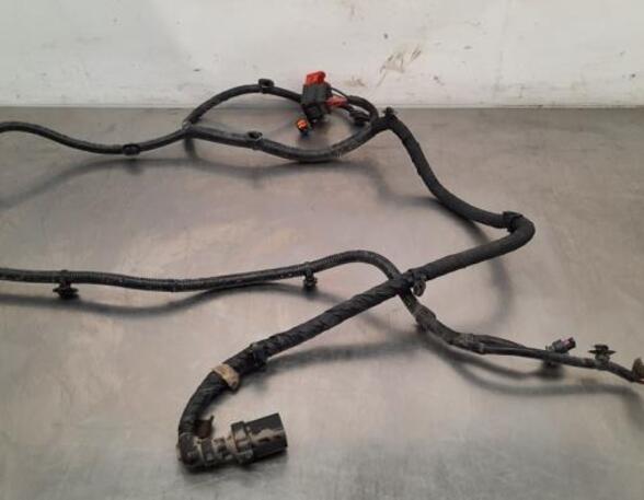 Wiring Harness RENAULT MASTER III Van (FV)