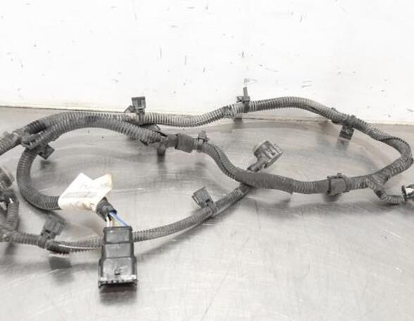 Wiring Harness CITROËN C3 III (SX), CITROËN C3 II (SC_)