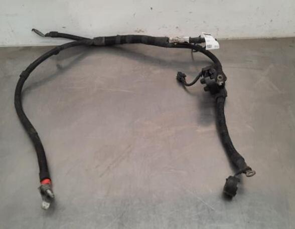 Wiring Harness FORD TRANSIT V363 Platform/Chassis (FED, FFD)