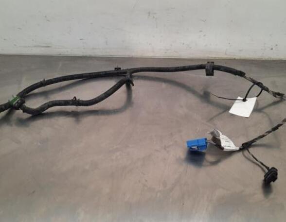 Wiring Harness PEUGEOT BOXER Van, OPEL MOVANO C Van (U9)