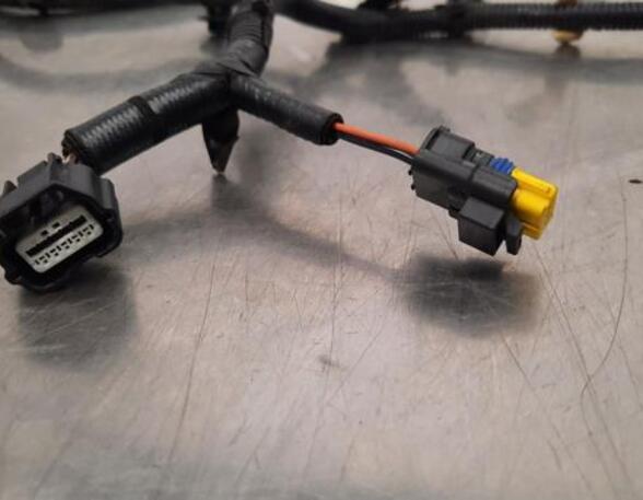 Wiring Harness RENAULT MASTER III Van (FV)