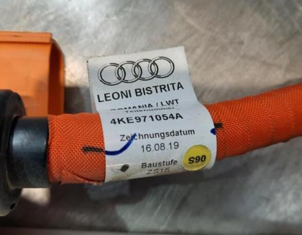 HV Kontrolle Modul von einem Audi E-Tron