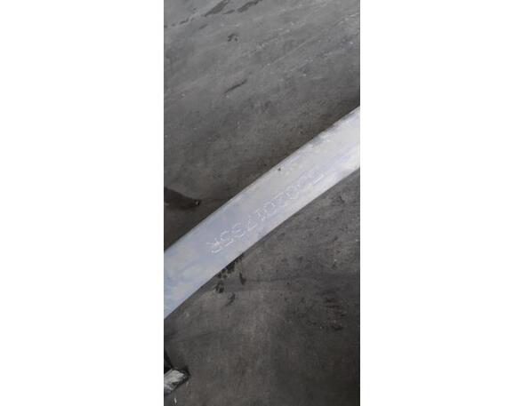 Leaf Springs OPEL MOVANO B Van (X62), RENAULT MASTER III Van (FV)