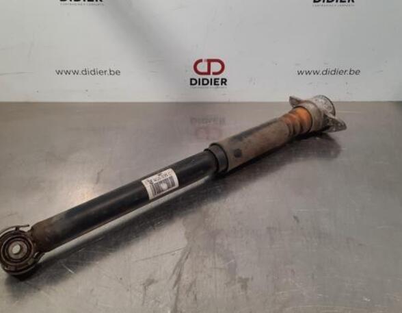 Suspension Strut AUDI A6 Avant (4G5, 4GD, C7)