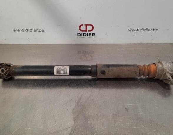 Suspension Strut AUDI A6 Avant (4G5, 4GD, C7)