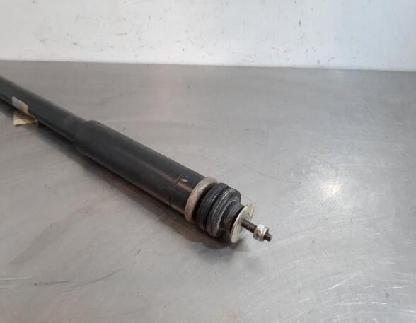 Shock Absorber SUZUKI BALENO (FW, EW)