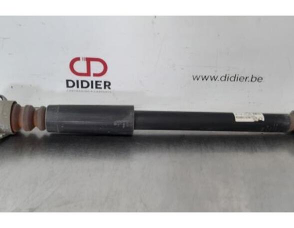 Shock Absorber AUDI A1 Sportback (8XA, 8XF)