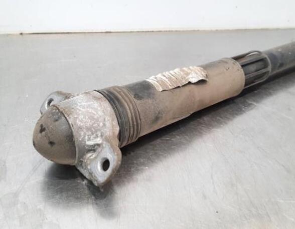 Shock Absorber VW GOLF VIII (CD1)