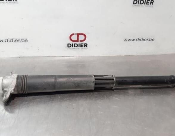 Shock Absorber SKODA SCALA (NW1)