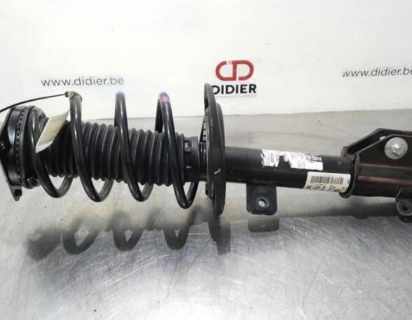 Shock Absorber DS DS 3 / DS 3 CROSSBACK (UR_, UC_, UJ_)