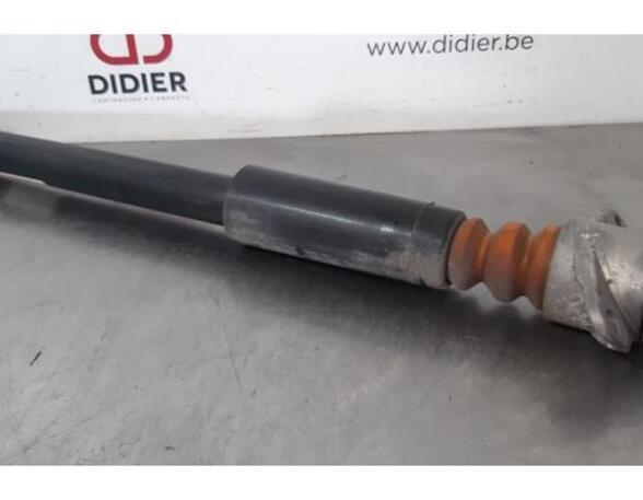 Shock Absorber AUDI A1 Sportback (8XA, 8XF)