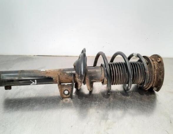 Shock Absorber VW TIGUAN (AD1, AX1)