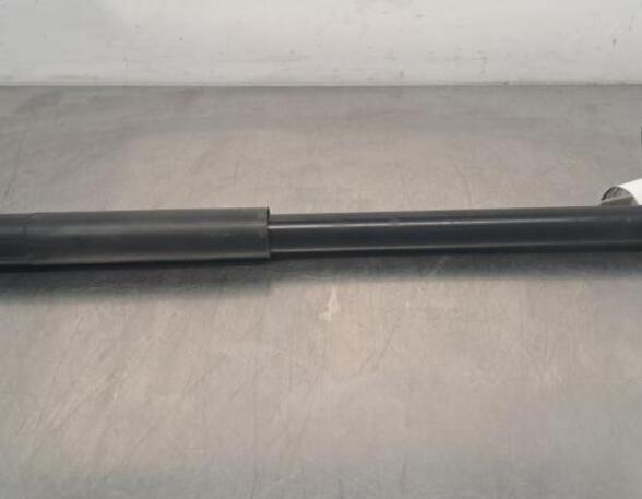 Shock Absorber SUZUKI VITARA (LY)