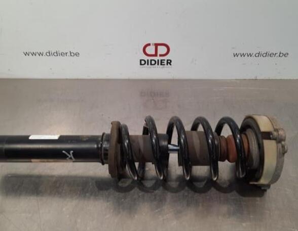 Shock Absorber AUDI Q5 (FYB, FYG)