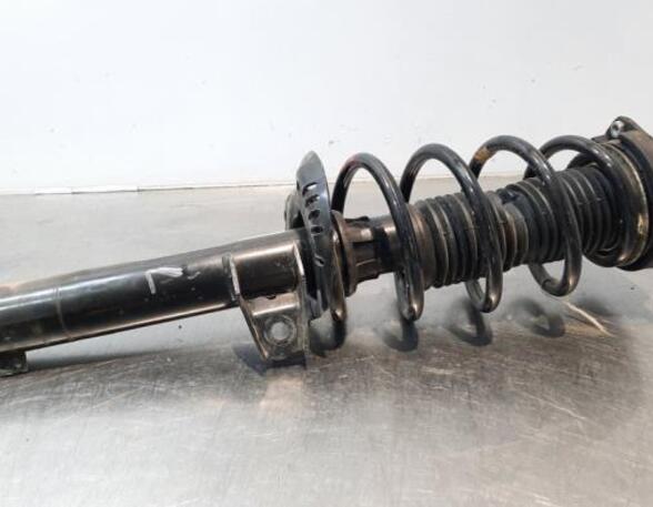 Shock Absorber VW CADDY IV MPV (SAB, SAJ), VW CADDY ALLTRACK MPV (SAB)