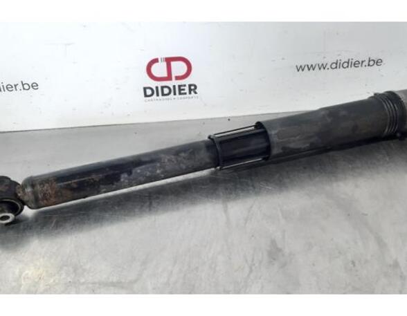 Shock Absorber SKODA OCTAVIA III Combi (5E5, 5E6)