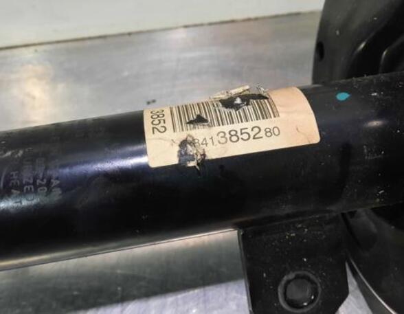 Shock Absorber CITROËN C4 III (BA_, BB_, BC_)