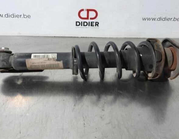 Shock Absorber MINI MINI PACEMAN (R61)