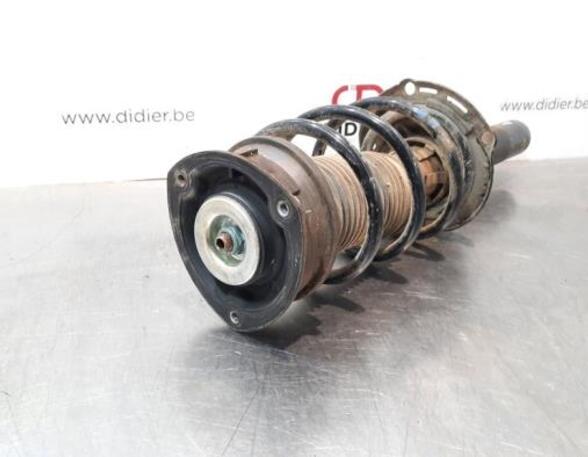 Shock Absorber SKODA OCTAVIA III Combi (5E5, 5E6)